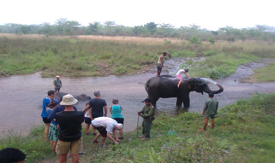 Elephant Batching