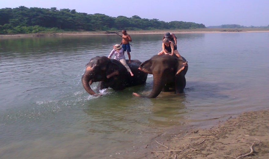 Chitwan Jungle Safari